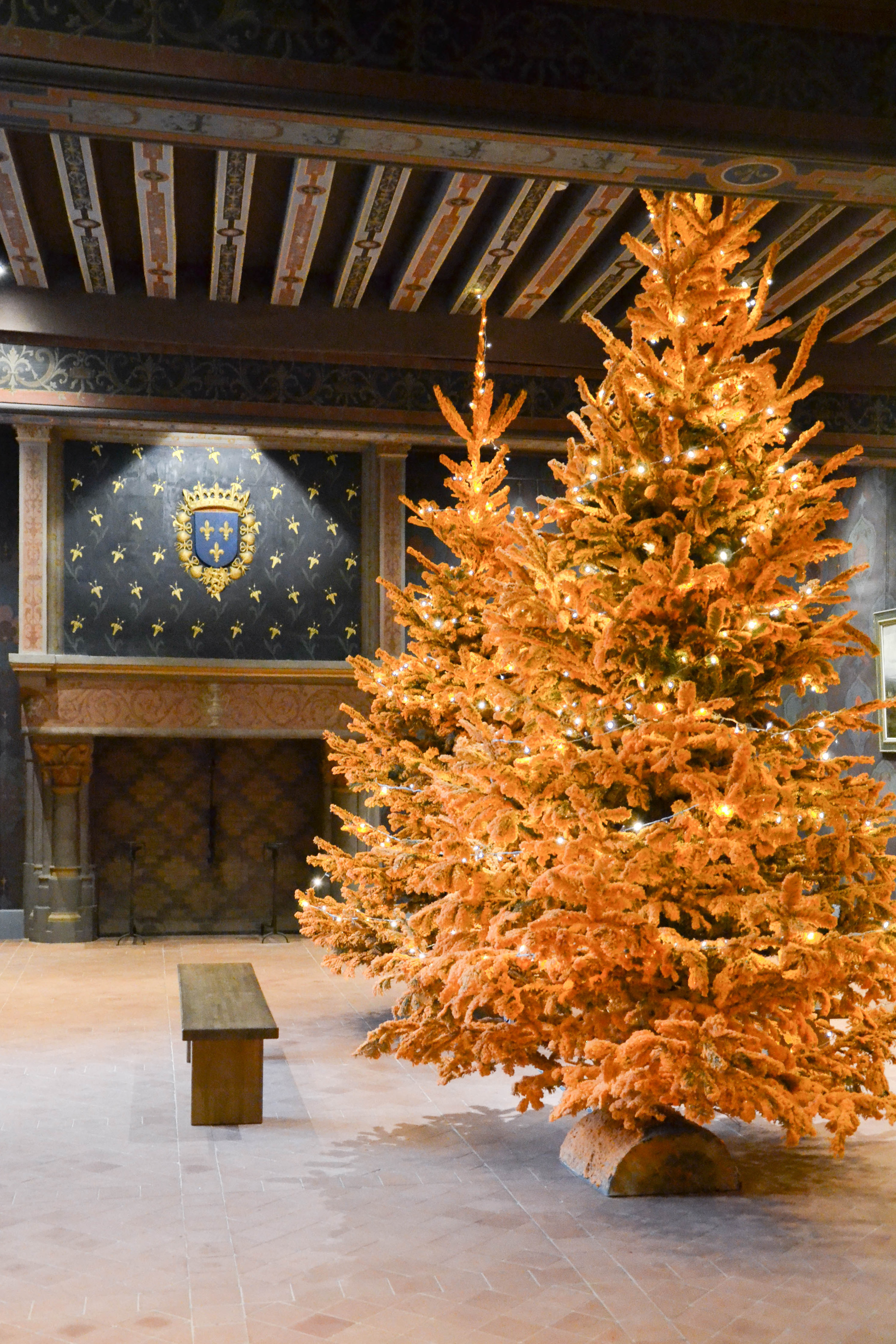 Salle du Conseil, Château de Blois