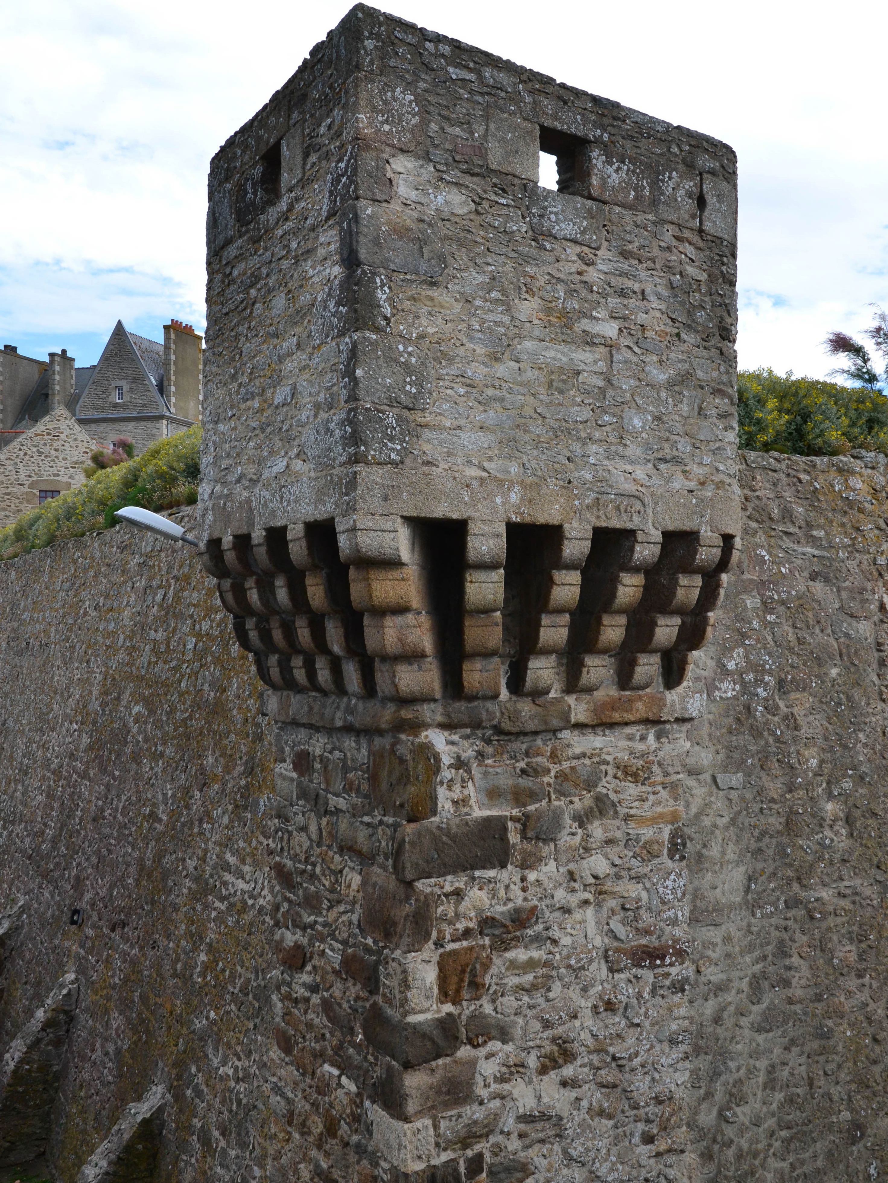 Cavalier des champs de Vauvert, Saint-Malo