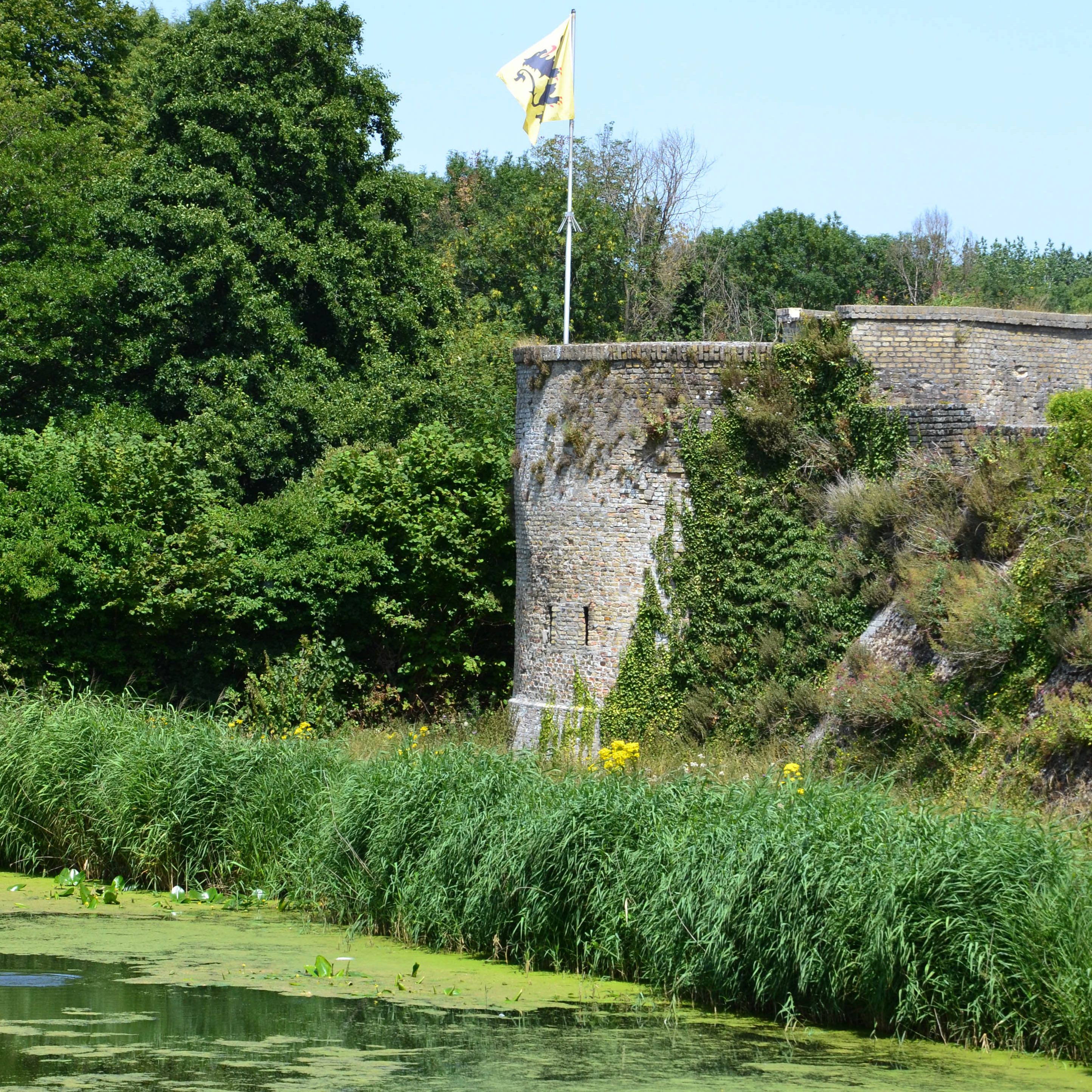 Défense de la cité, Bergues