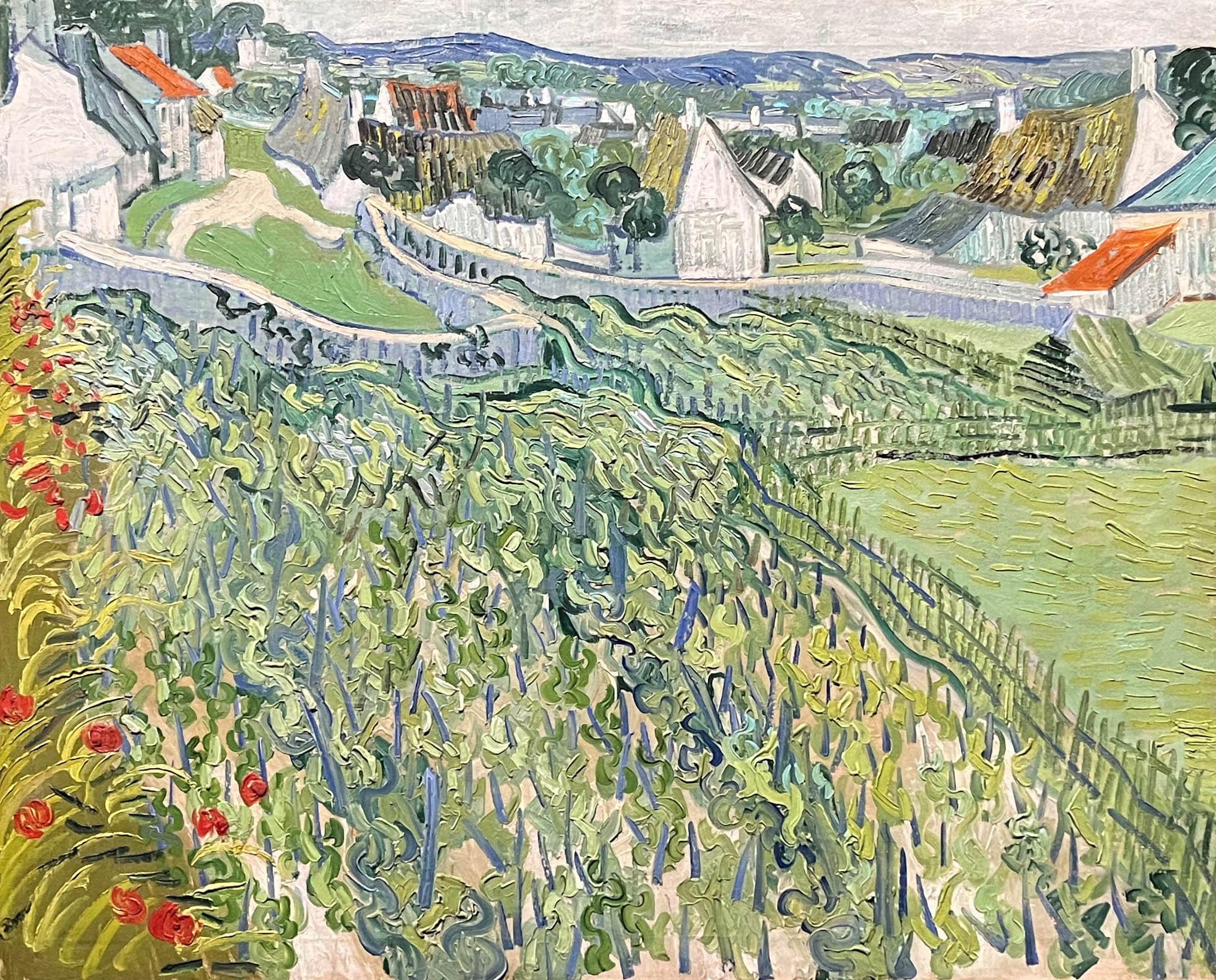 Vignes à Auvers-sur-Oise (12 juin 1890), Vincent Van Gogh