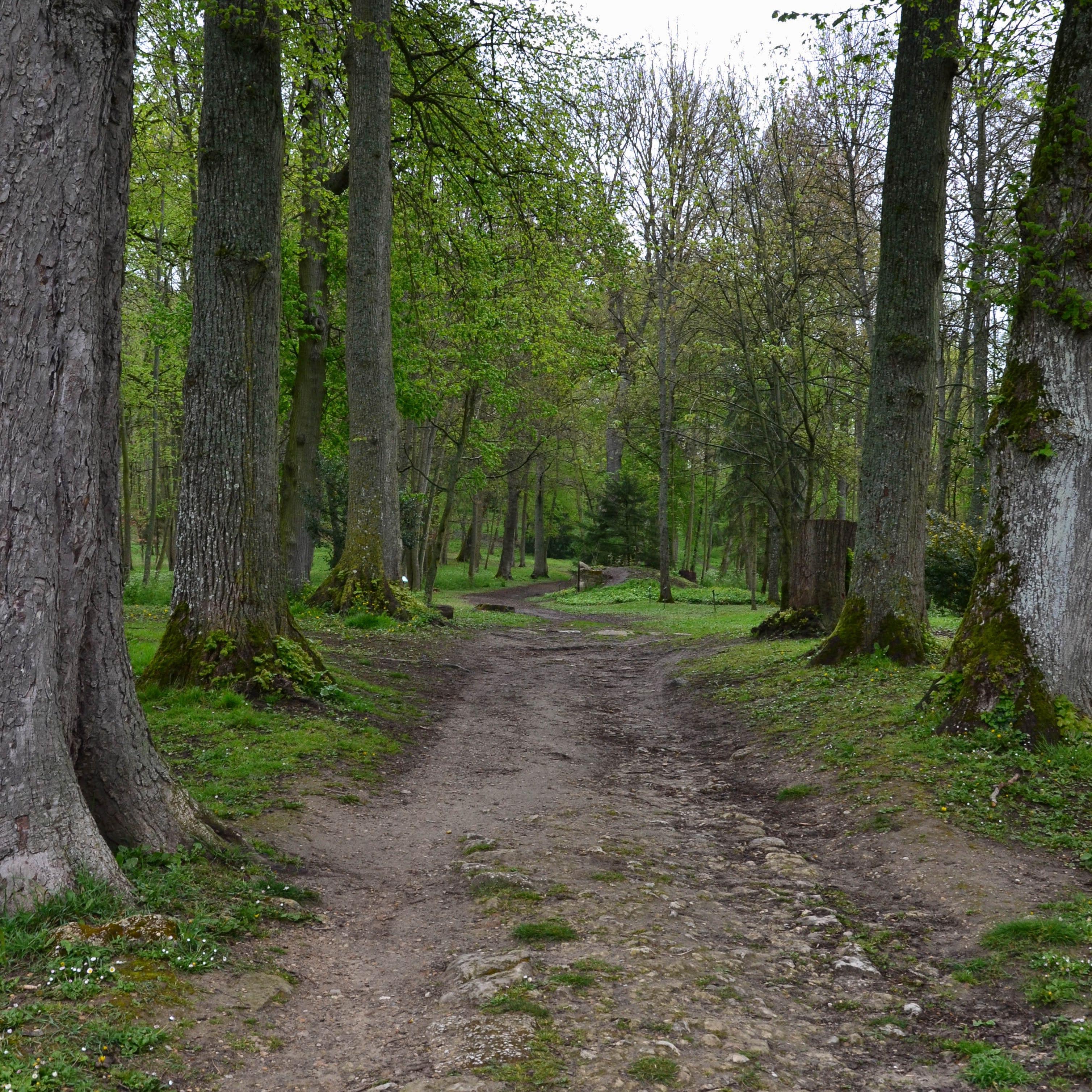 Parc, château de Septmonts