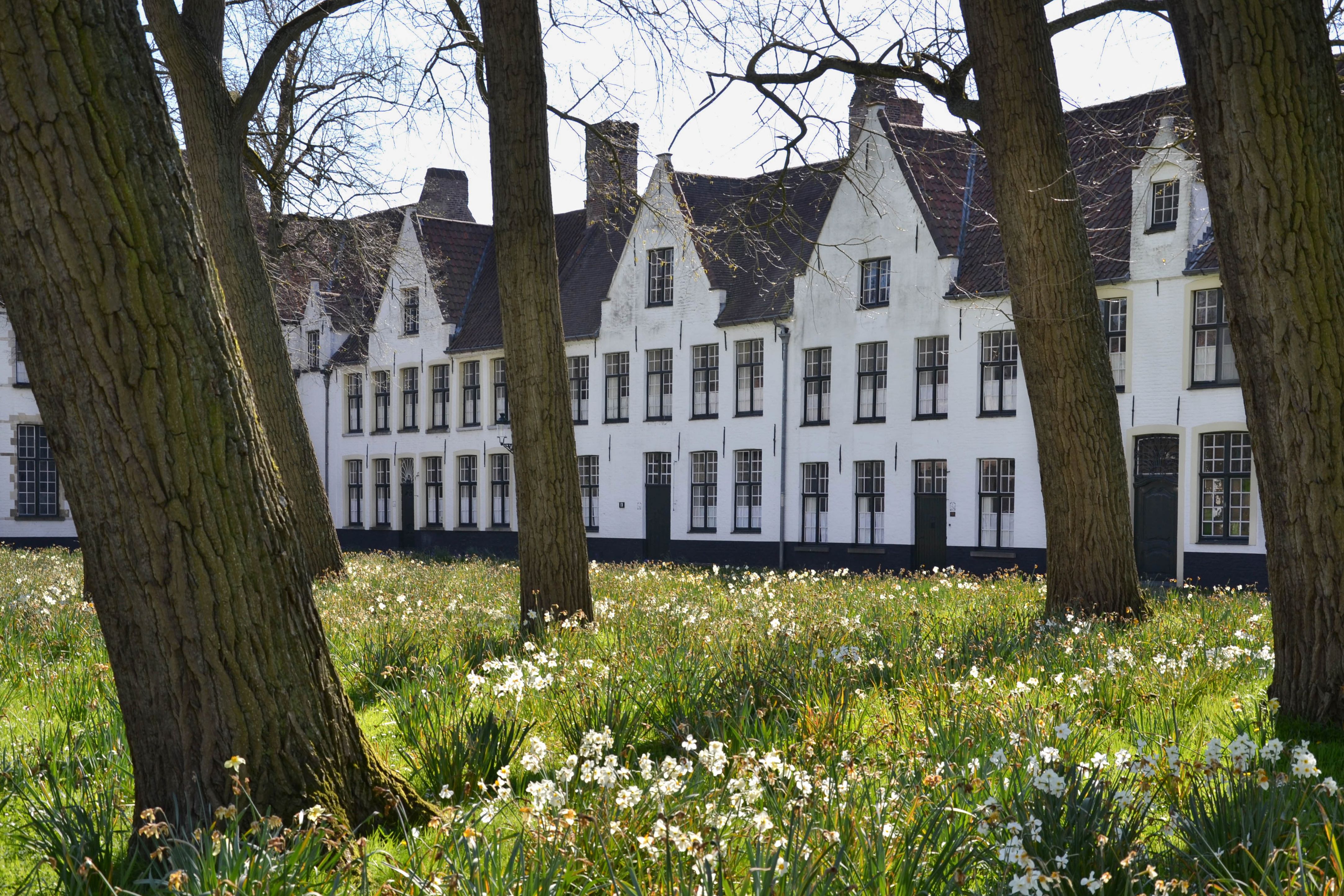 Béguinage de Bruges, XVIème siècle